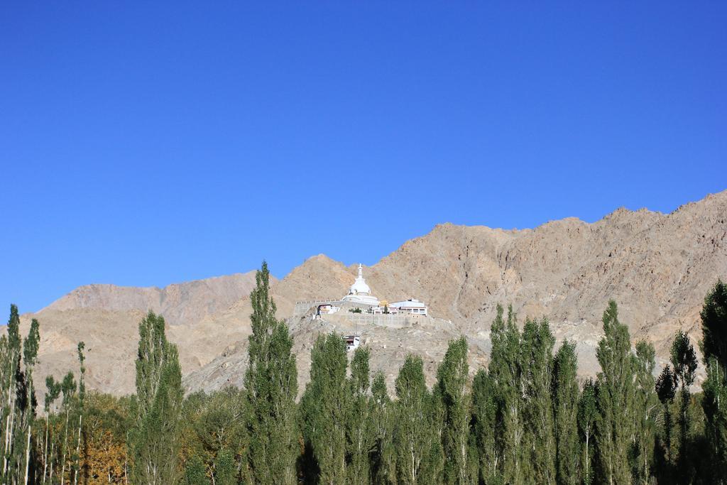 Hotel Nalanda Ladakh Лех Екстериор снимка
