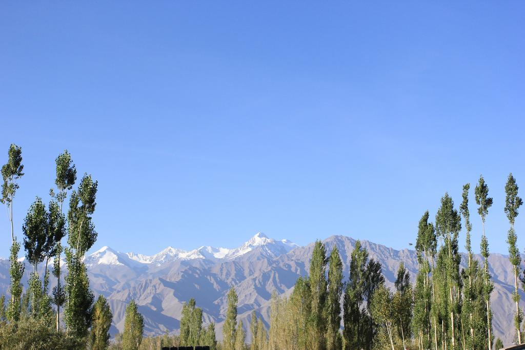 Hotel Nalanda Ladakh Лех Екстериор снимка